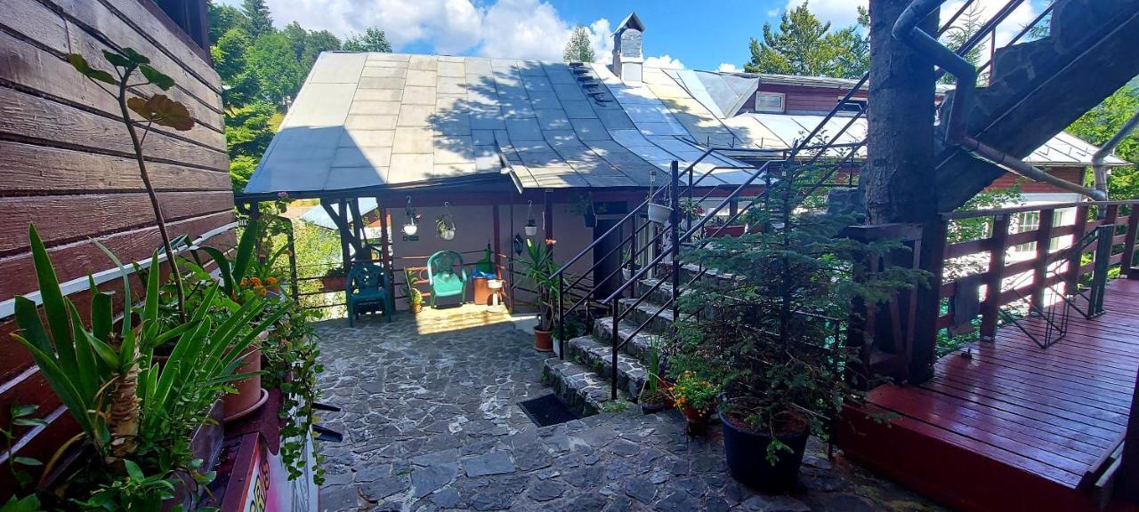 Casa Cristina_ Cabana Busteni Bagian luar foto